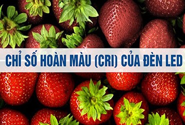 Chỉ Số Hoàn Mà CRI Của Đèn Led Là Gì?